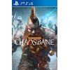 Warhammer: Chaosbane PS4